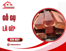 Gỗ gụ là gì?