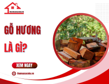 Gỗ hương là gì?