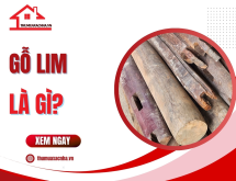 Gỗ Lim là gì?