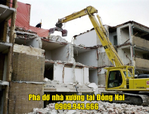 Phá Dỡ Nhà Xưởng Tại Đồng Nai Nhanh Chóng