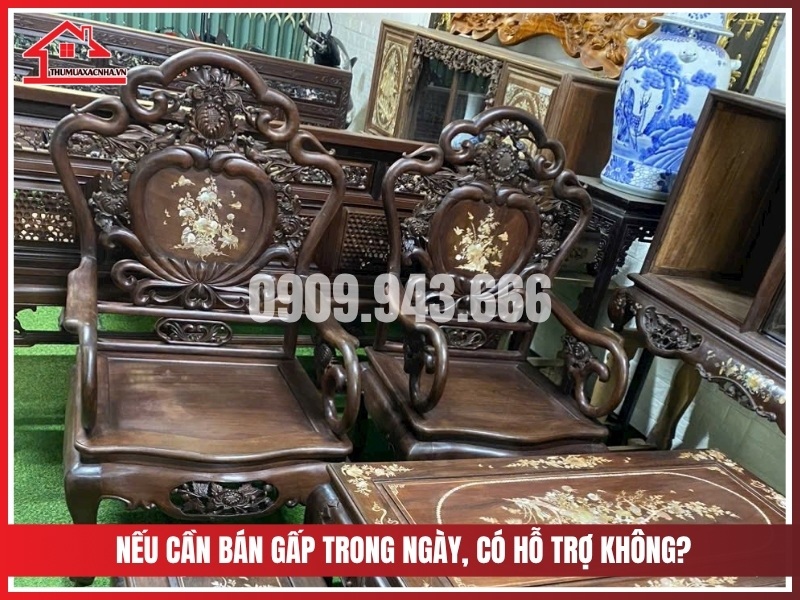 Tôi cần bán gấp trong ngày, có hỗ trợ thu mua nhanh không?