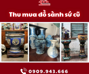 THU MUA ĐỒ SÀNH SỨ XƯA, CHẬU ĐỐN BÌNH BÔNG CŨ